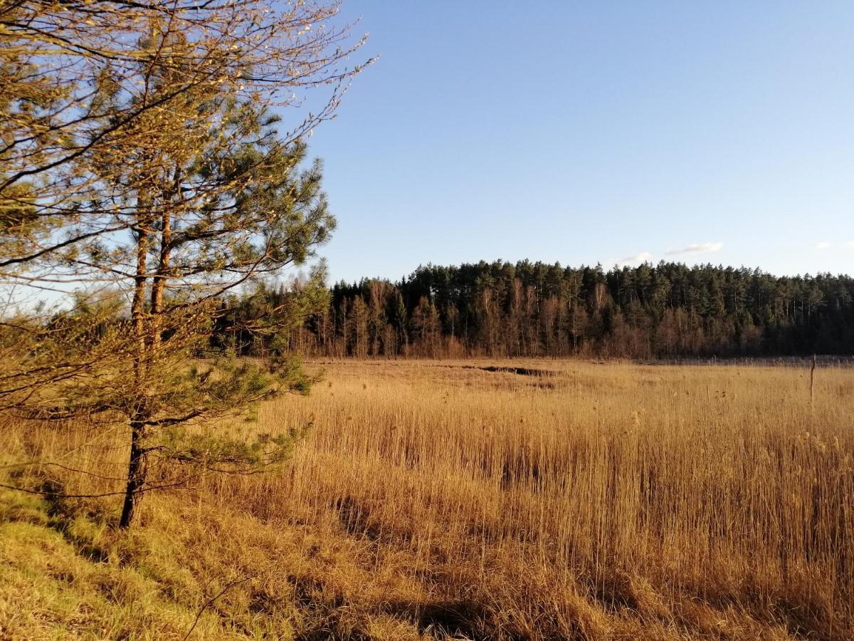 Wodamoja - Apartamenty Nad Jeziorem Stawiguda Exterior foto